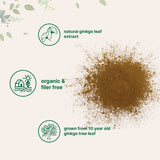 Micro Ingredients Ginkgo Biloba Extract powder in a bowl