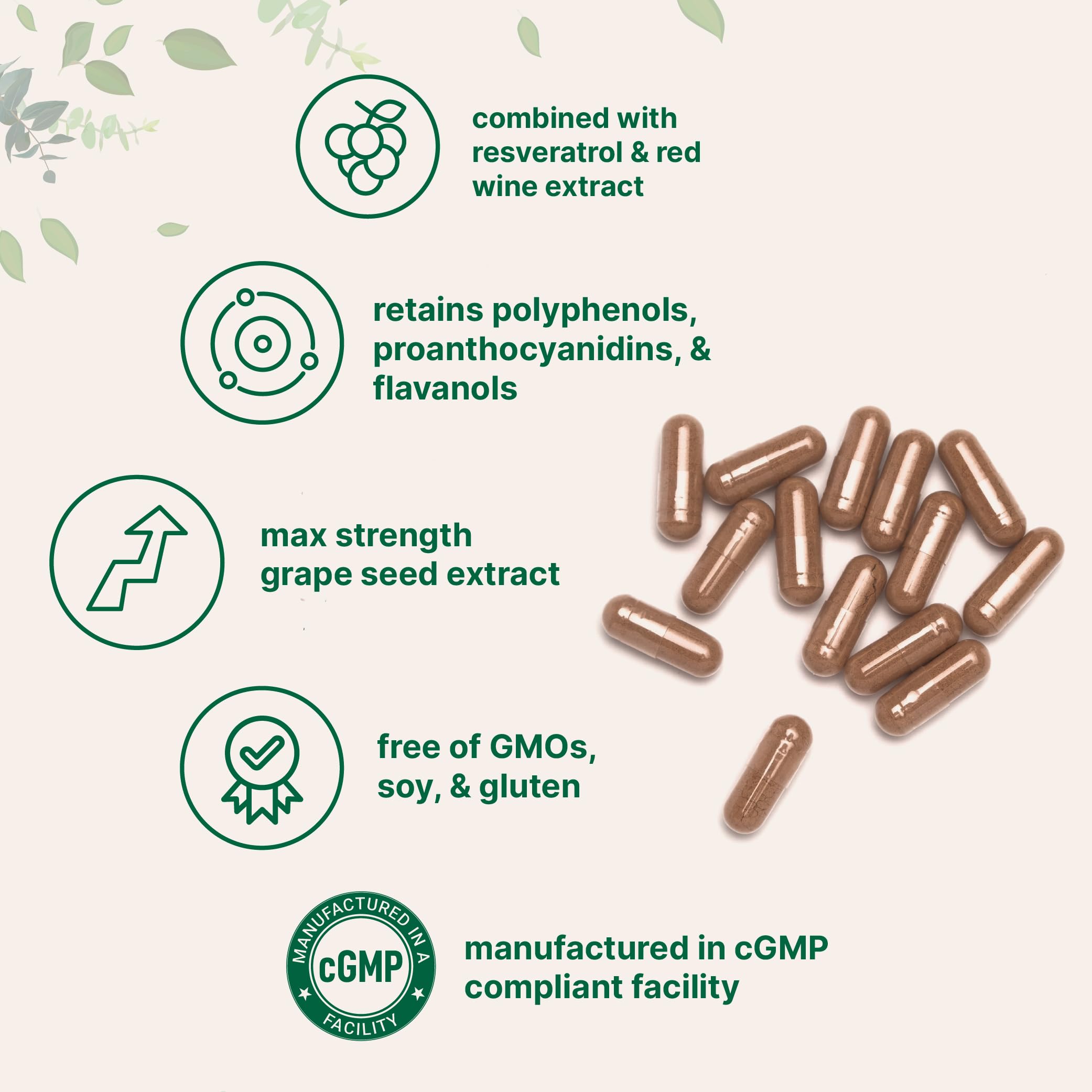 Micro Ingredients Grape Seed Extract capsules close-up