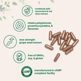 Micro Ingredients Grape Seed Extract capsules close-up