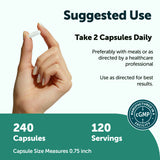 Micro Ingredients L-Tyrosine 240 capsules back label