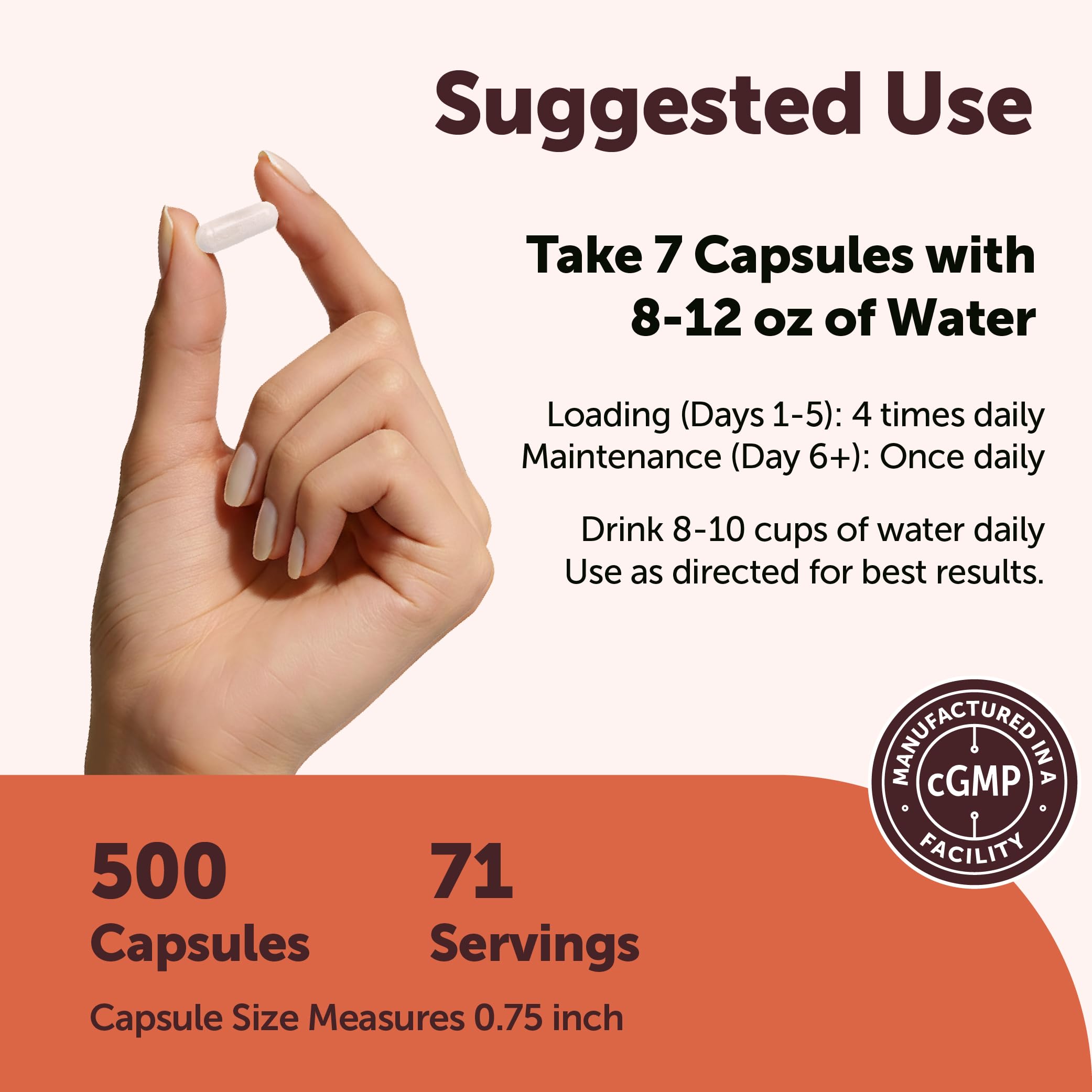 Micro Ingredients Micronized Creatine Capsules with dosage information