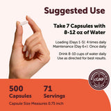 Micro Ingredients Micronized Creatine Capsules with dosage information