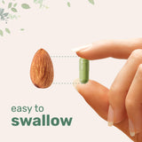 Micro Ingredients Moringa Oleifera Capsules with measuring spoon