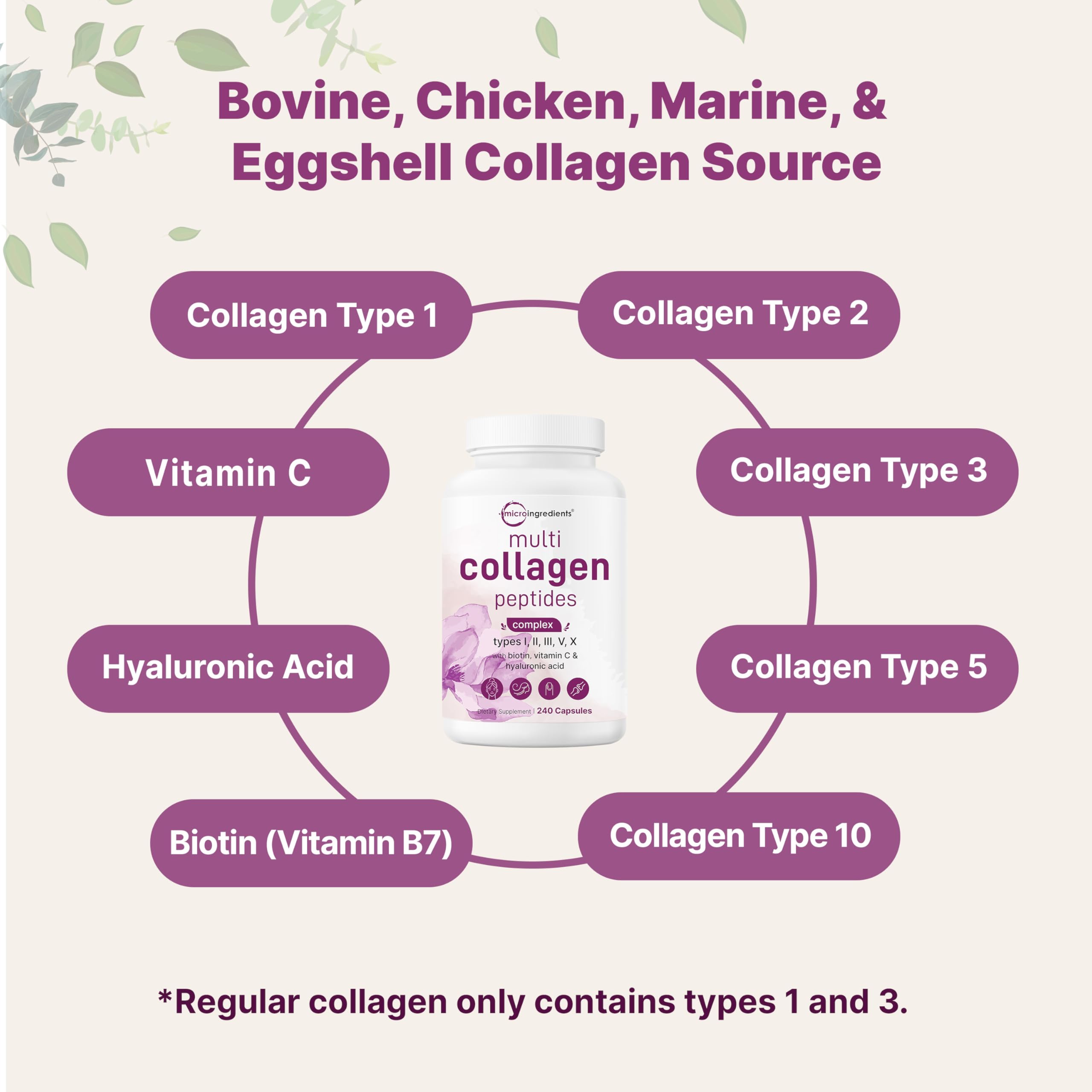Micro Ingredients Multi Collagen Peptides Complex nutritional information