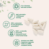 Micro Ingredients NAC with NAD+ Capsules back label