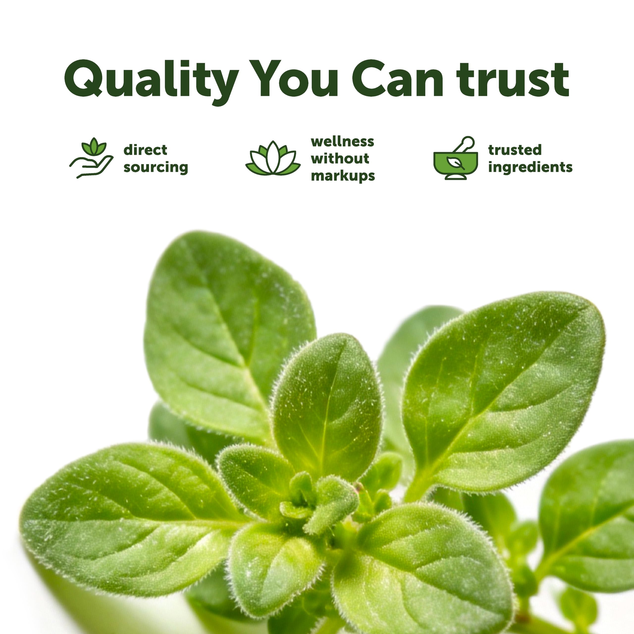 Micro Ingredients Oil of Oregano Softgels with natural ingredients