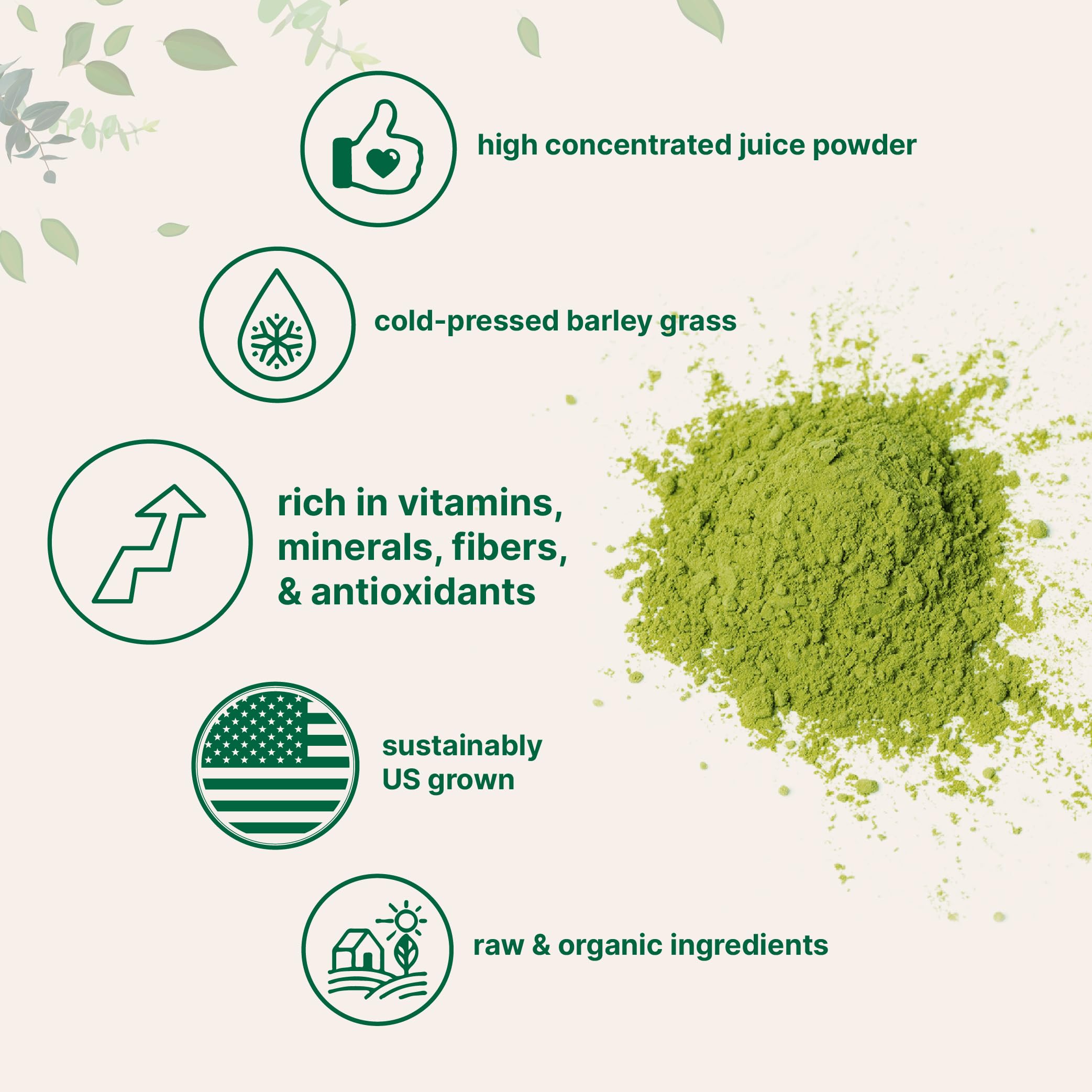 Micro Ingredients Organic Barley Grass Juice Powder scoop size