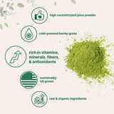 Micro Ingredients Organic Barley Grass Juice Powder scoop size