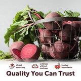Micro Ingredients Organic Beet Root Juice Powder close-up