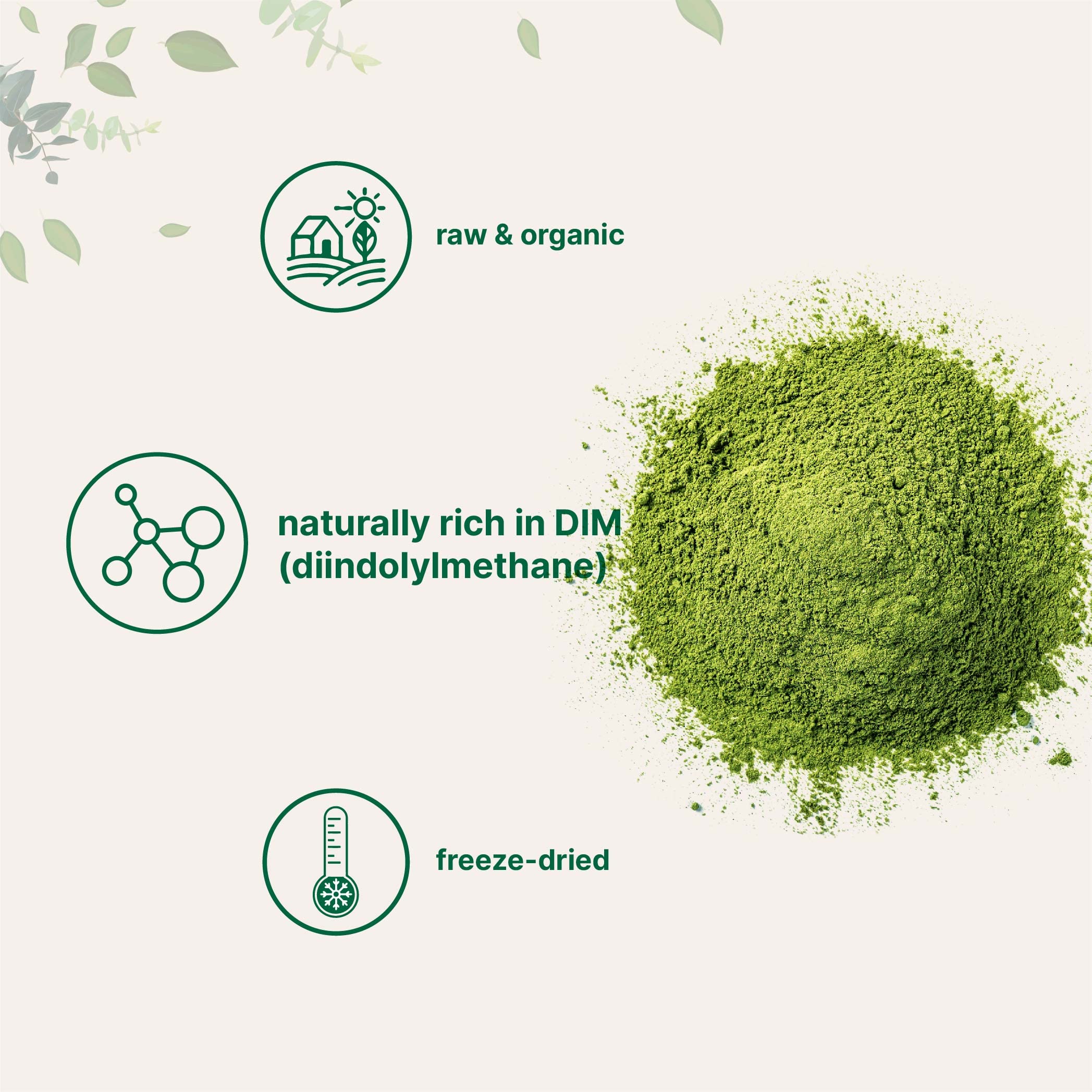 Micro Ingredients Organic Broccoli Sprout Powder scoop