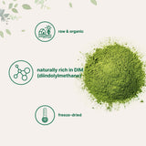 Micro Ingredients Organic Broccoli Sprout Powder scoop