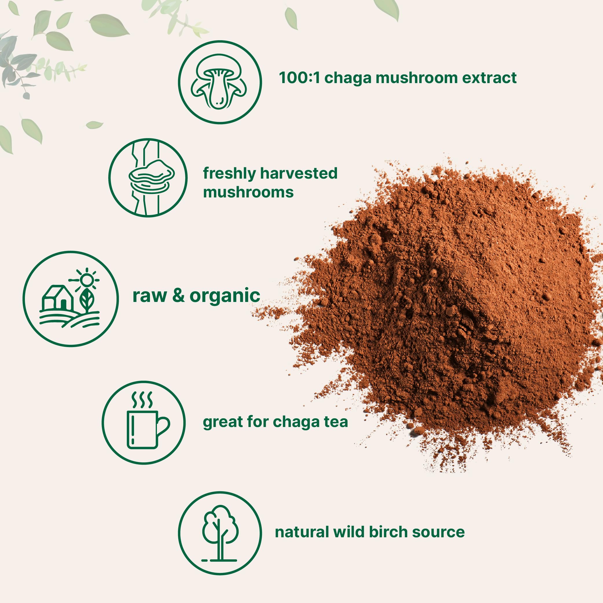 Micro Ingredients Organic Chaga Mushroom Extract Powder scoop with powder