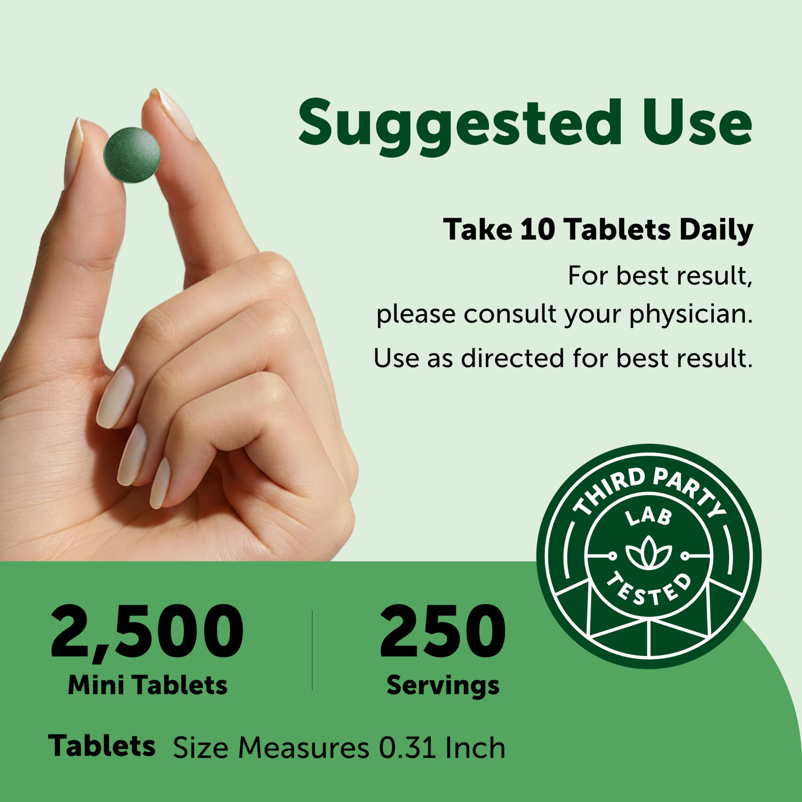 Micro Ingredients Organic Spirulina Chlorella Mini-Tablets in a hand for size comparison