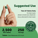 Micro Ingredients Organic Spirulina Chlorella Mini-Tablets in a hand for size comparison