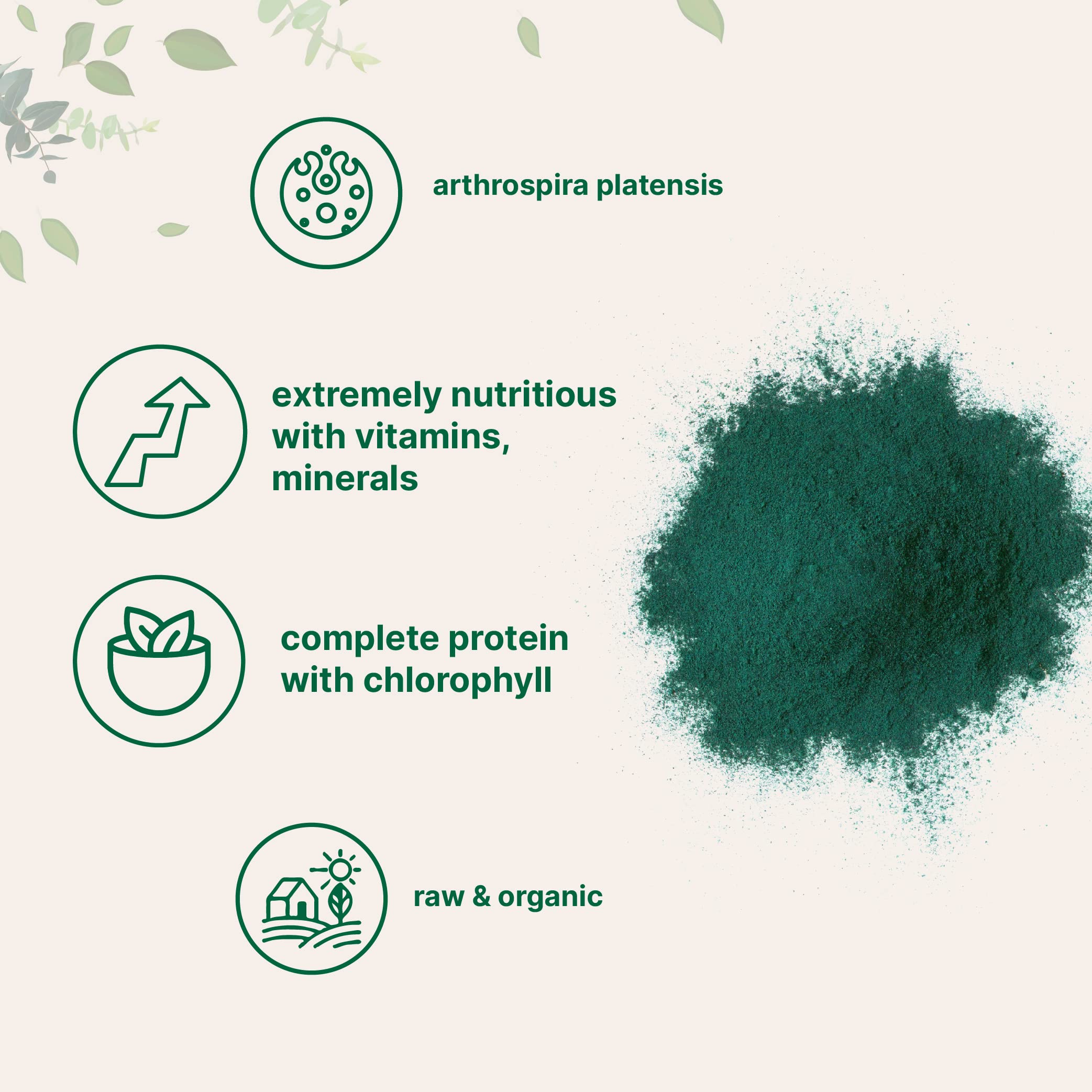 Micro Ingredients Organic Spirulina Powder 1 Pound powder texture close-up