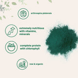 Micro Ingredients Organic Spirulina Powder 1 Pound powder texture close-up