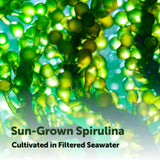 Micro Ingredients Organic Spirulina Tablets close-up of tablets