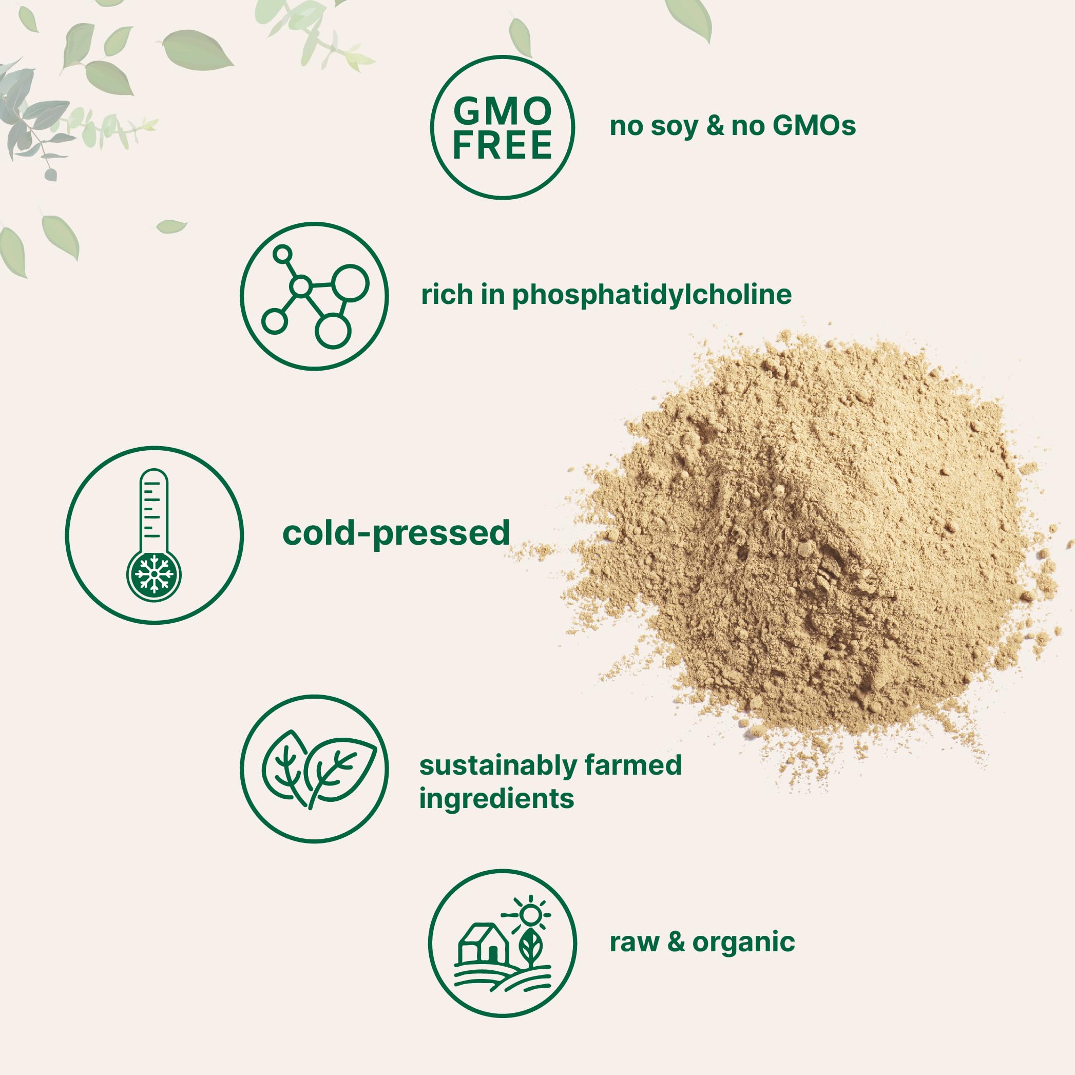 Micro Ingredients Organic Sunflower Lecithin Granules Powder in a bowl