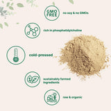 Micro Ingredients Organic Sunflower Lecithin Granules Powder in a bowl