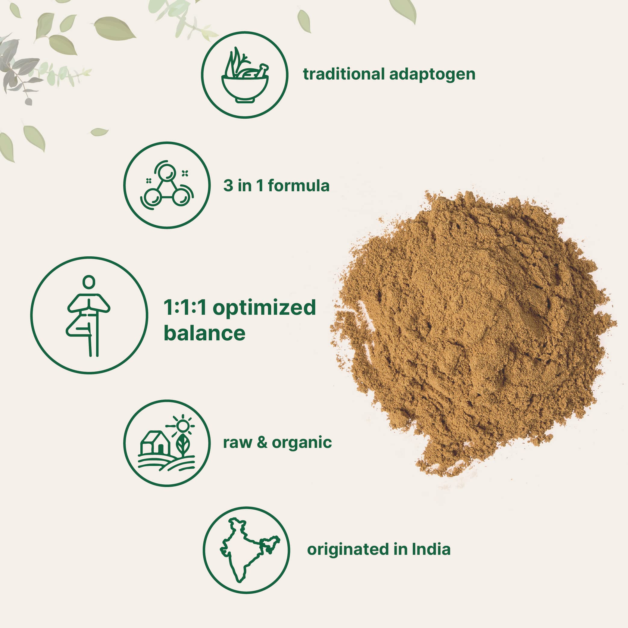 Micro Ingredients Organic Triphala Powder in a bowl with fresh herbs