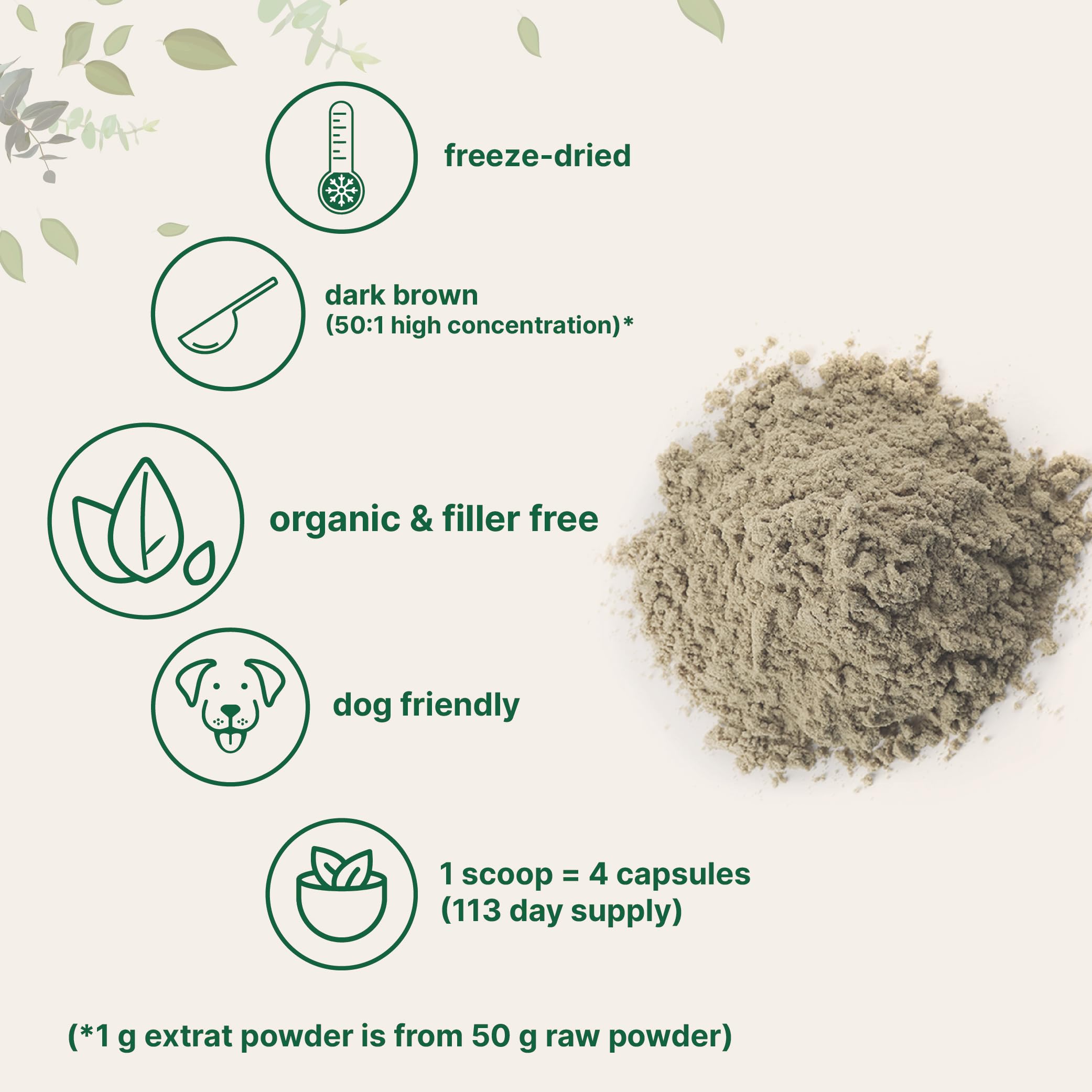 Micro Ingredients Organic Turkey Tail Mushroom Powder 240g on a kitchen countertop