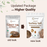 Micro Ingredients Organic Turkey Tail Mushroom Powder 240g with a scoop