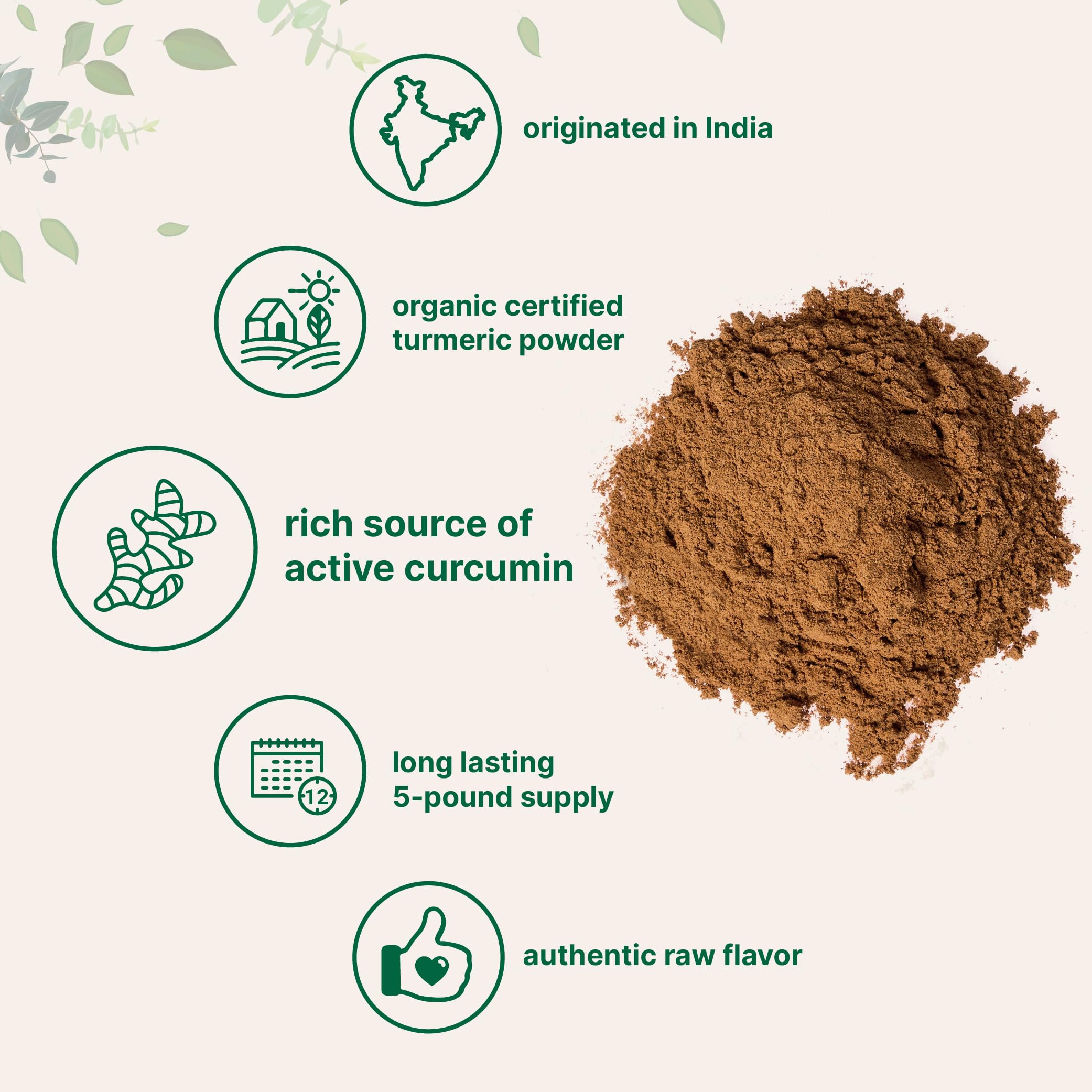 Micro Ingredients Organic Turmeric Powder scoop with powder