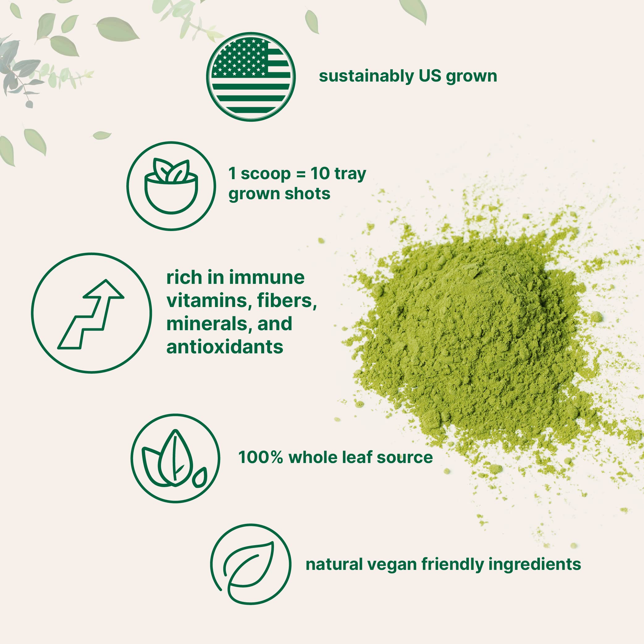 Micro Ingredients Organic Wheatgrass Superfood Powder scoop included