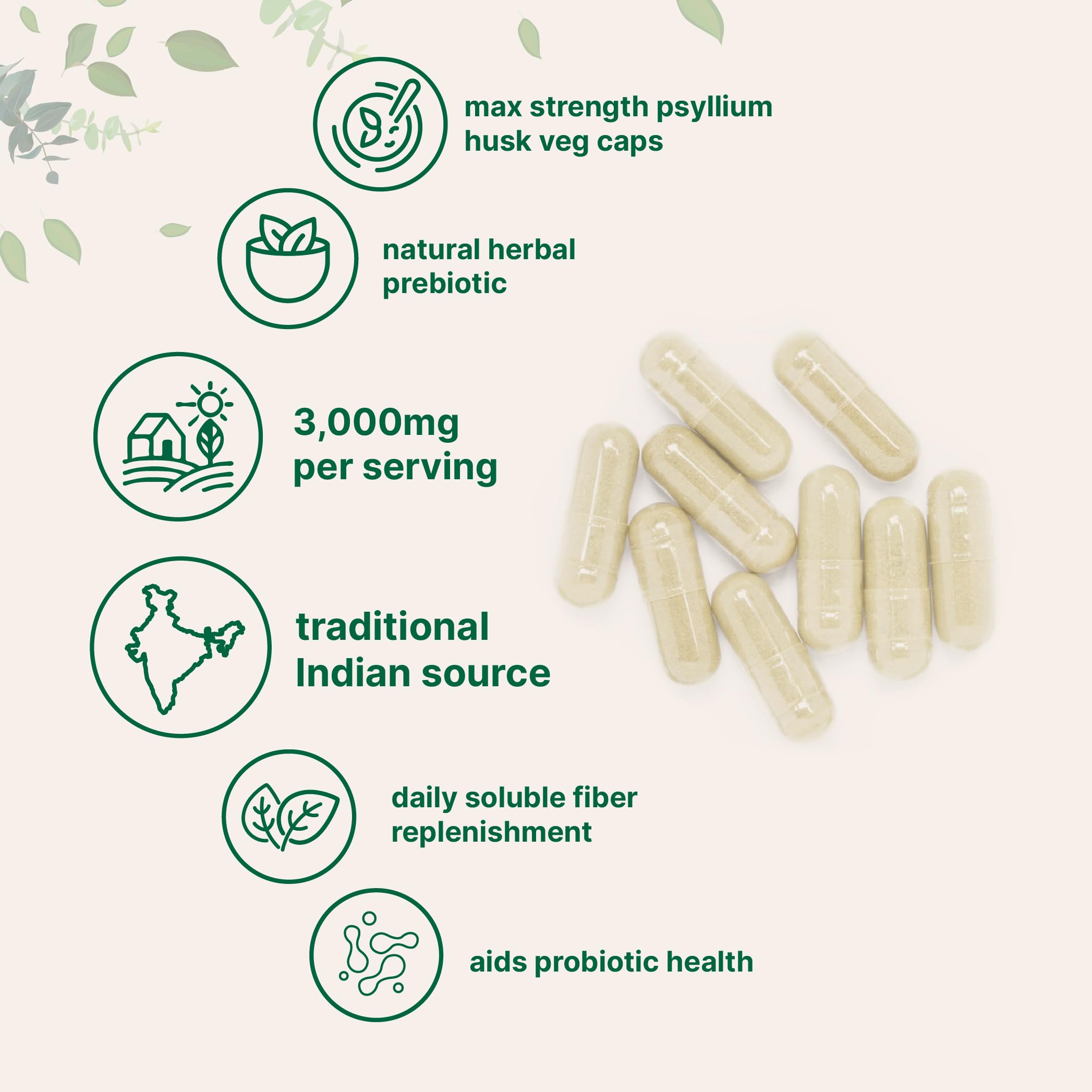 Micro Ingredients Psyllium Husk Veg Caps 500 vegetarian capsules