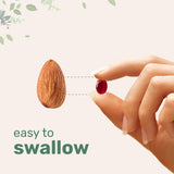 Micro Ingredients Red Panax Ginseng Softgels with measuring spoon