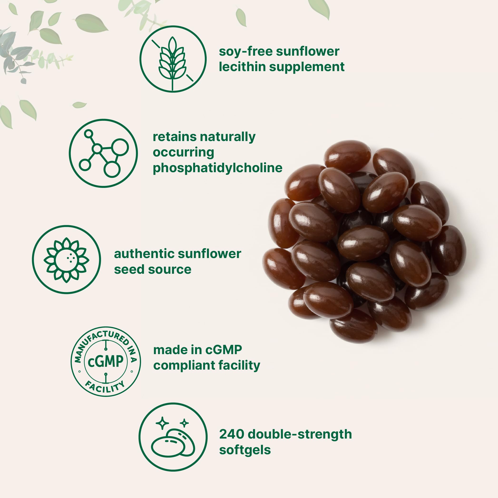 Micro Ingredients Sunflower Lecithin Softgels 2400mg packaging