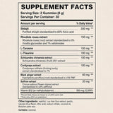 MILAVIE Botanica Rise Energy & Focus Gummies lifestyle scene