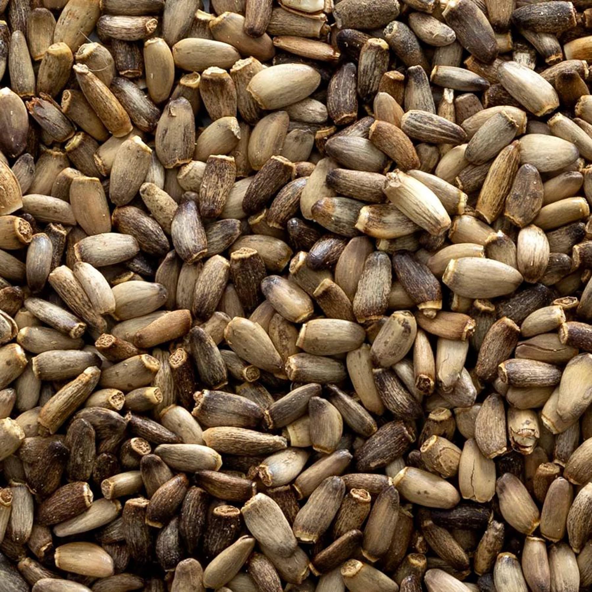 Milk thistle seeds sprinkled on a salad