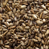 Milk thistle seeds sprinkled on a salad