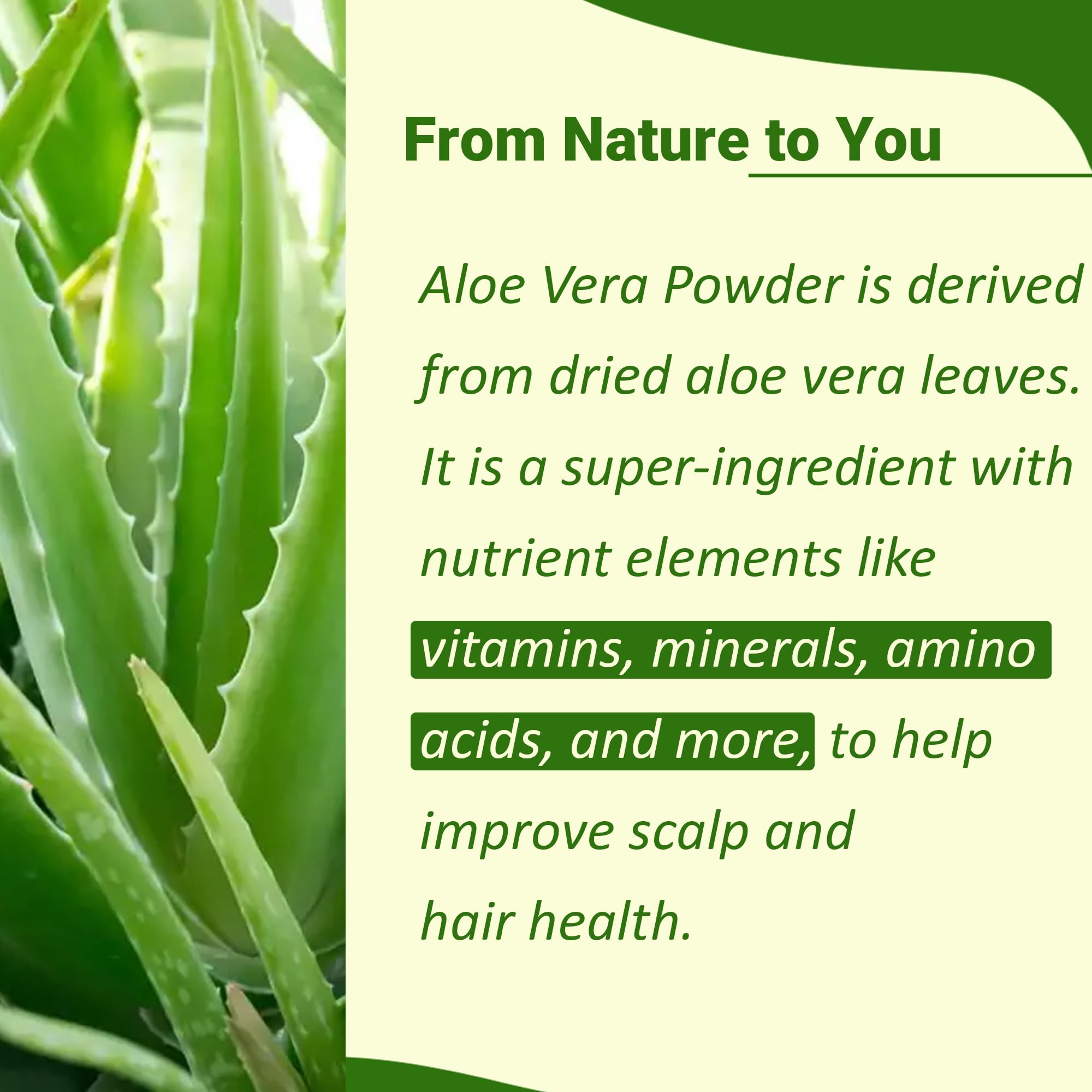 minature Aloe Vera Leaf Powder 100g container with resealable lid
