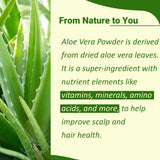 minature Aloe Vera Leaf Powder 100g container with resealable lid