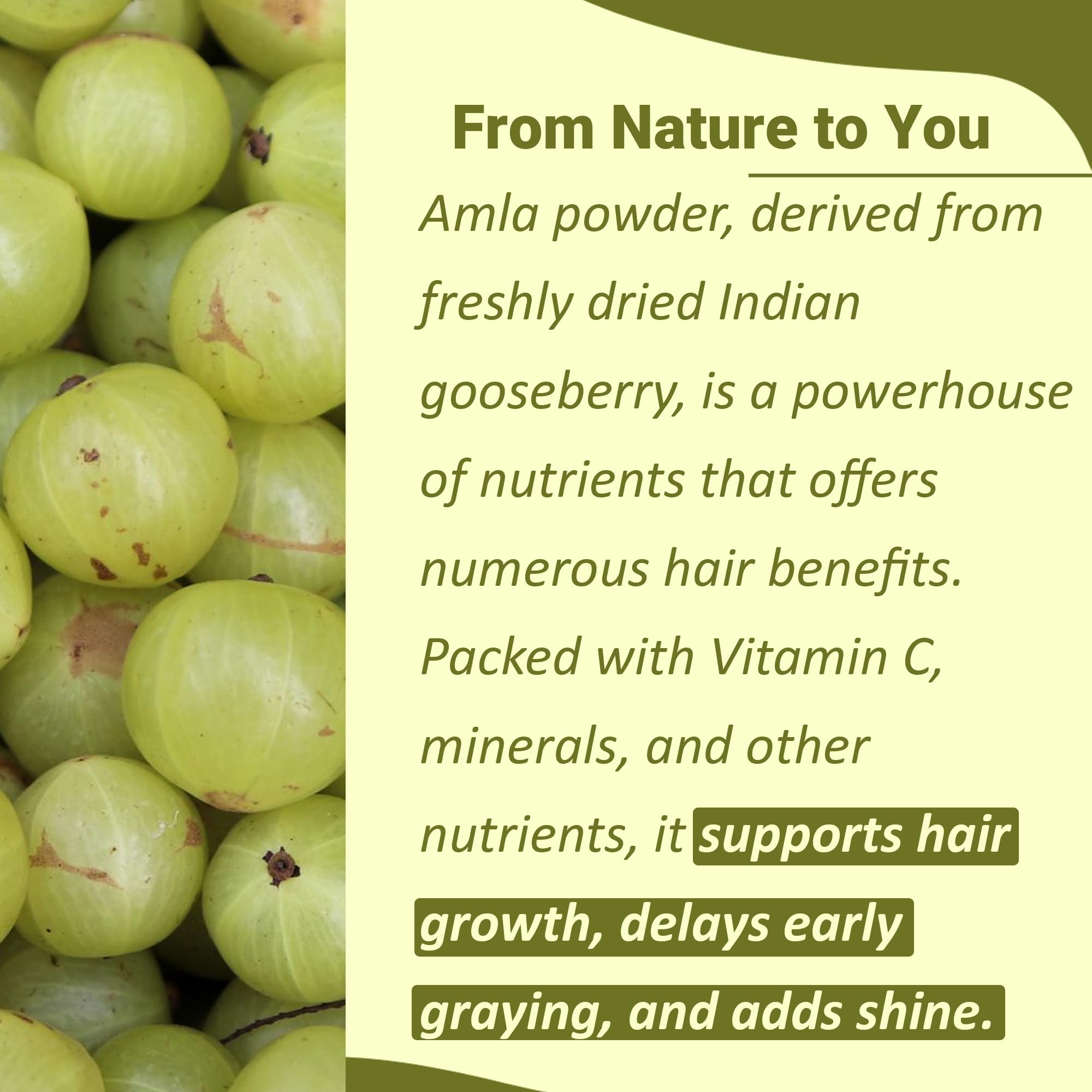 minature Amla Powder 100g back view packaging