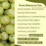 minature Amla Powder 100g back view packaging