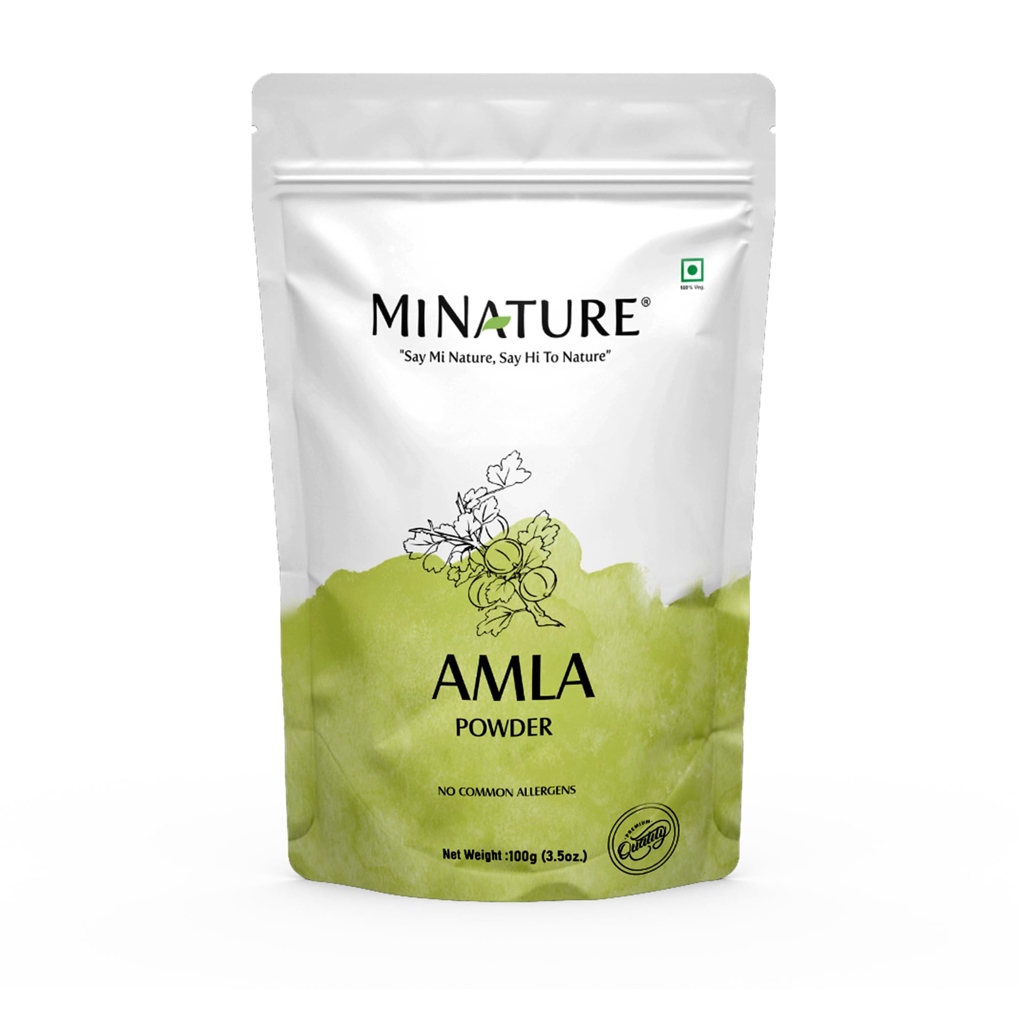 minature Amla Powder 100g front view packaging