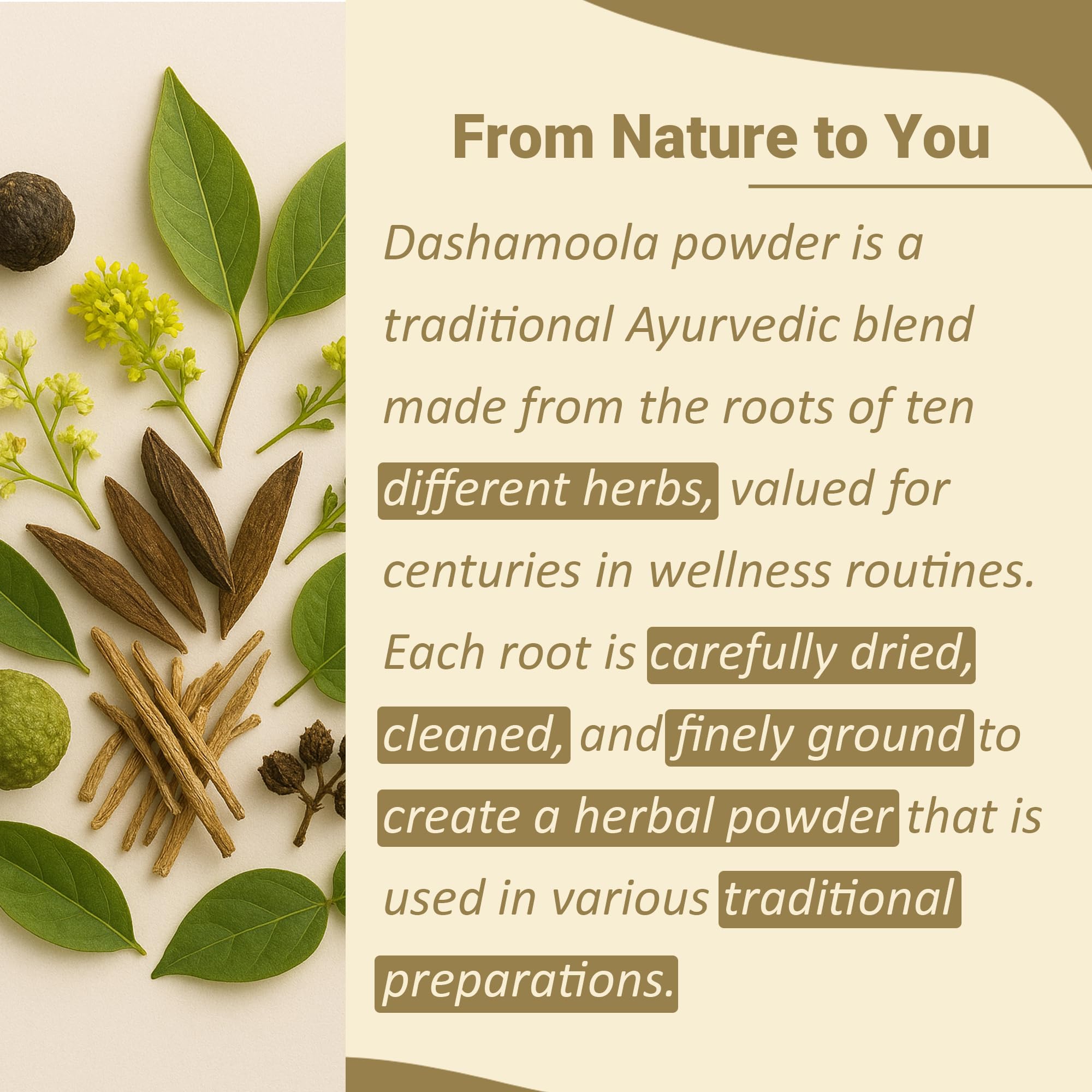 minature Dashamoola Herbal Powder 227g packaging