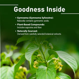 minature Gymnema Tablets 1000mg close-up of tablets