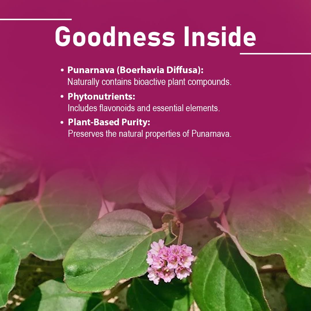 minature Punarnava Tablets 1000mg back view showing ingredients