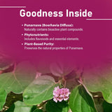 minature Punarnava Tablets 1000mg back view showing ingredients