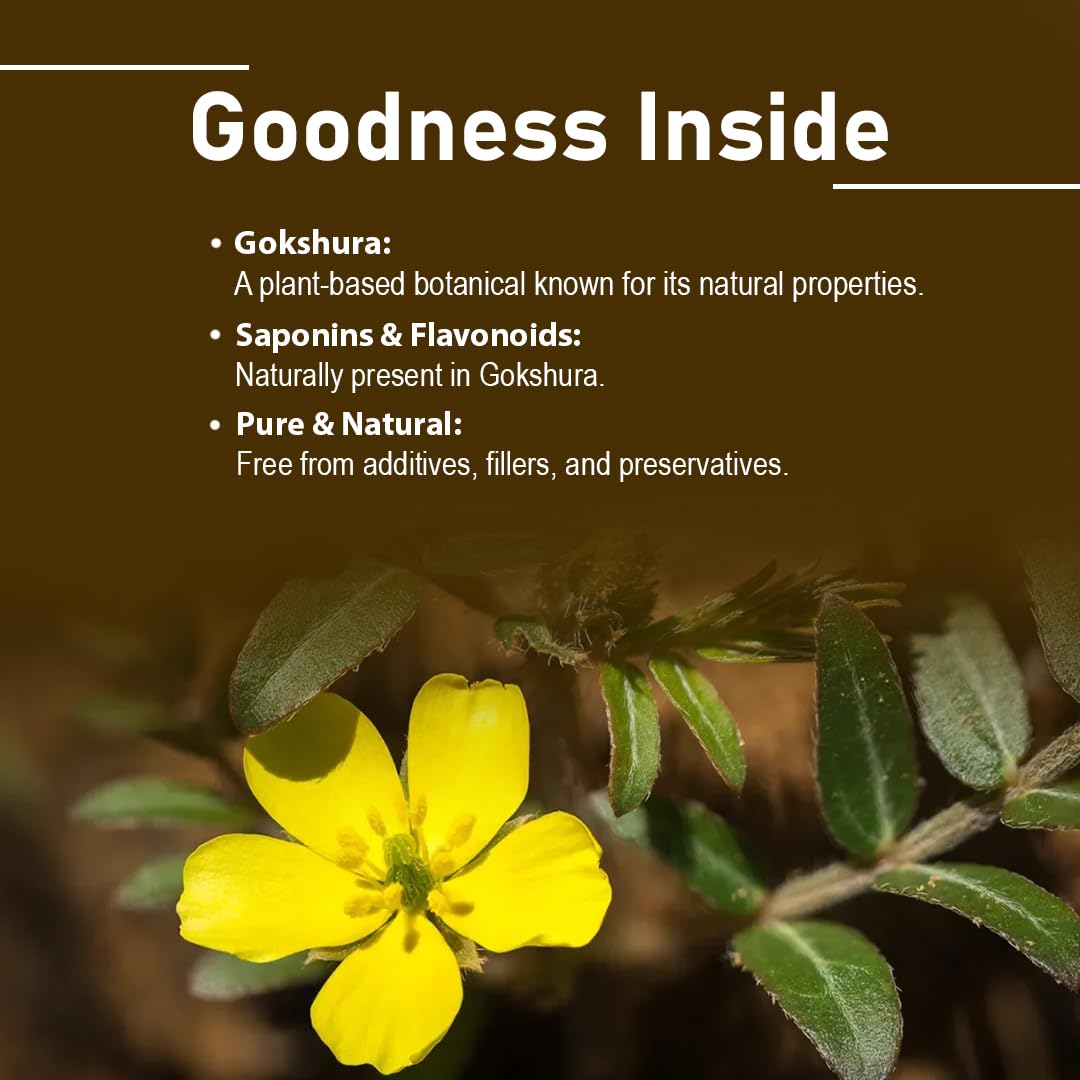 minature Tribulus Terrestris Herbal Supplement tablets close-up