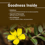 minature Tribulus Terrestris Herbal Supplement tablets close-up