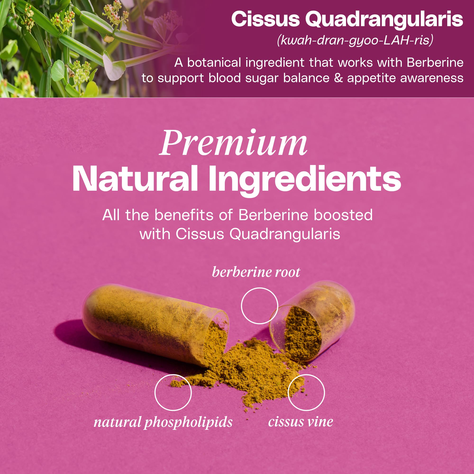 Mineral Moon Berberine Supplement Capsules with water glass