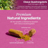 Mineral Moon Berberine Supplement Capsules with water glass