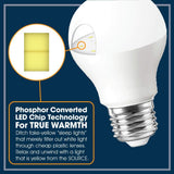 Miracle LED Sleep Study Bulb close-up showing light emission