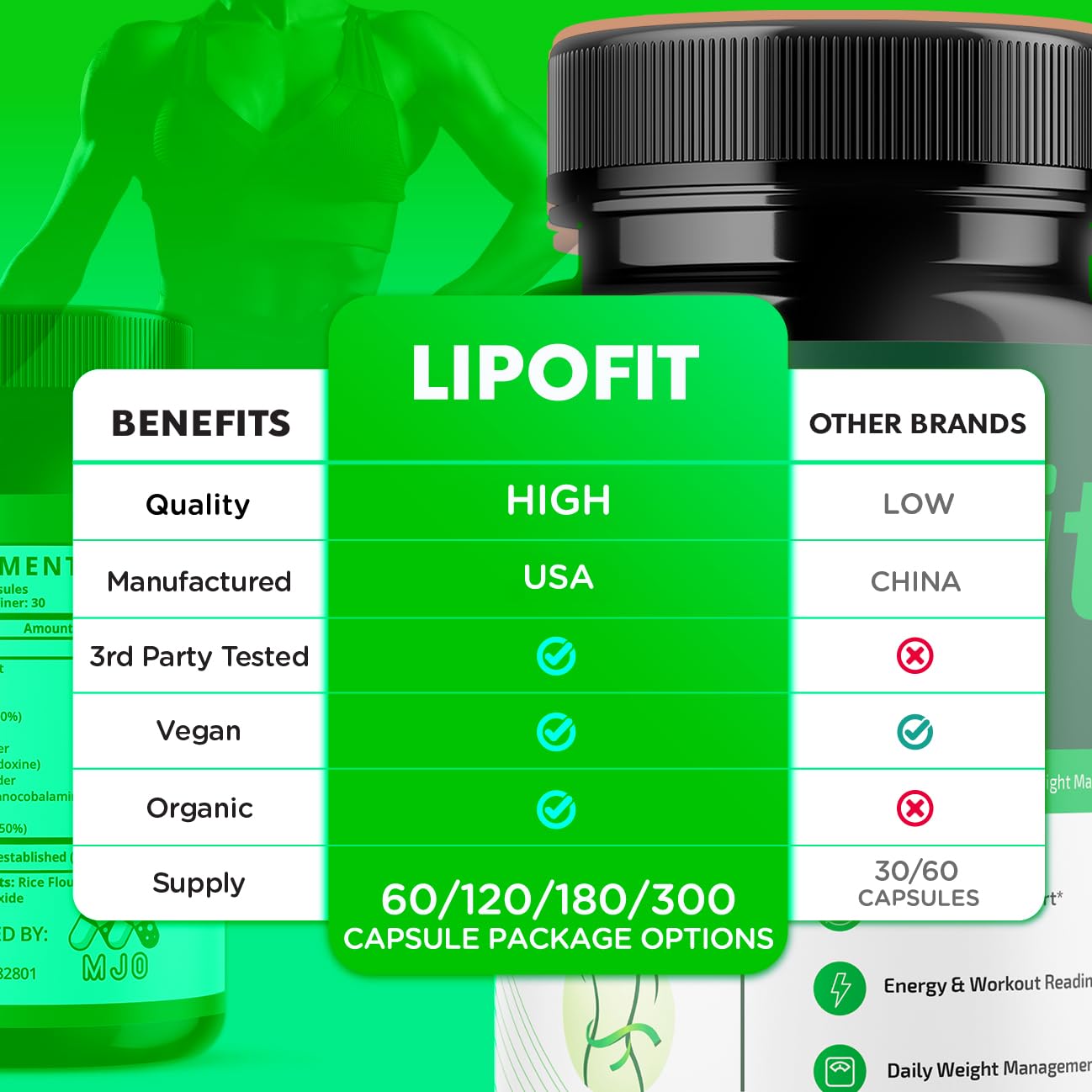 MJO Lipo Fit Capsules with cinnamon extract close-up