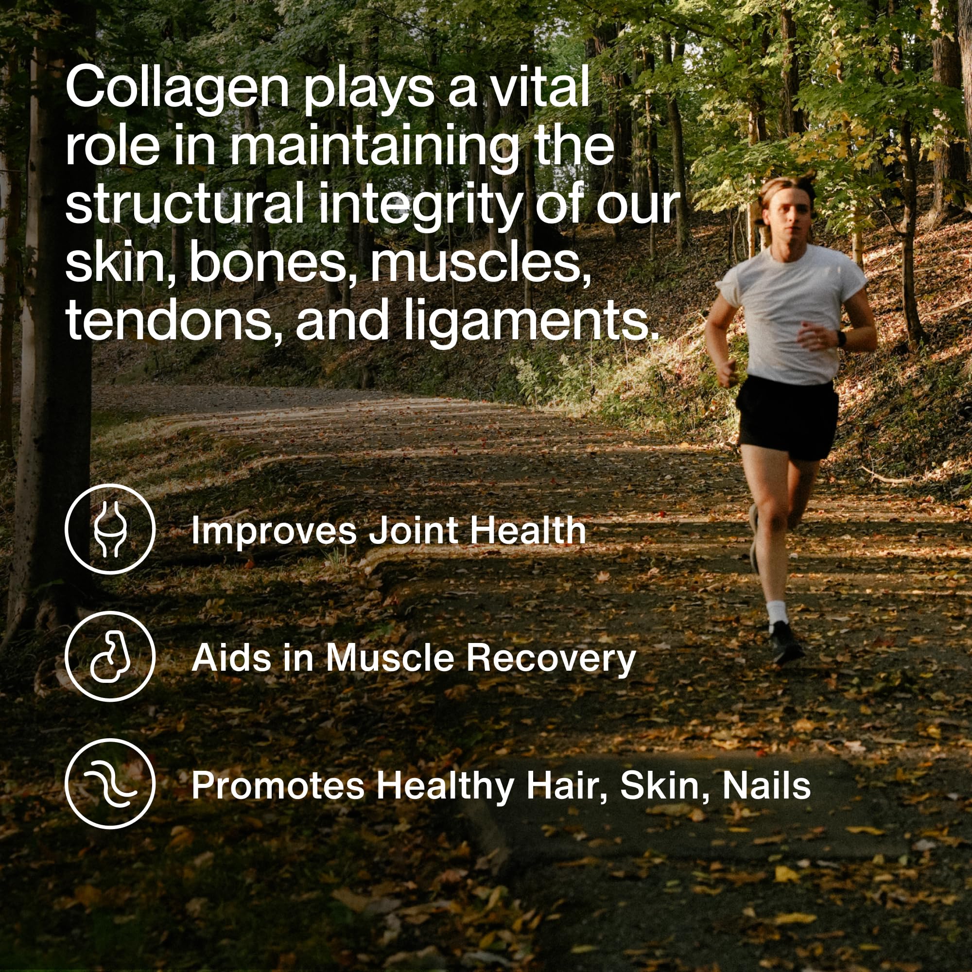Momentous Collagen Peptides Powder 532g side view showing nutritional information